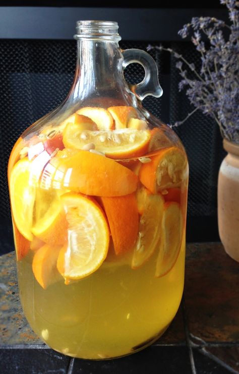 Vin d’Orange Homemade Wine Recipes, Mead Recipe, Homemade Alcohol, Homemade Liquor, Fortified Wine, Liqueurs Recipes, Orange Wine, Homemade Wine, Oranges And Lemons