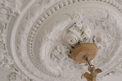 french plaster ceilings - Google Search Plaster Of Paris Flowers, French Molding, Victorian Ceiling Medallions, Ceiling Medallion Chandelier, Ornate Ceiling, Medallion Wall Art, Bold Living Room, Molding Ceiling, Plaster Mouldings