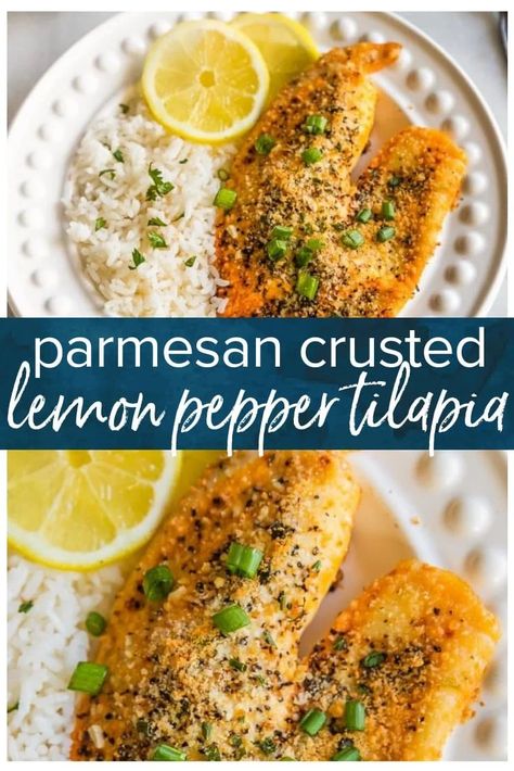 Baked Talipia Recipes Ovens Easy, Parmesan Crusted Tilapia Baked, Best Tilapia, Best Tilapia Recipe, Tilapia Baked, Easy Tilapia, Lemon Pepper Tilapia, Tilapia Recipes Healthy, Tilapia Recipes Easy