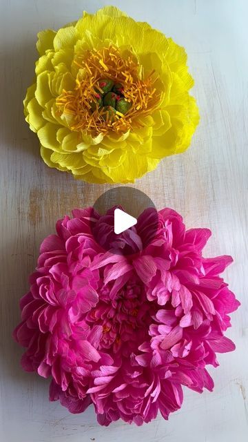 Amity Libby on Instagram: "So yes, I did have to eat a lot of cheese to make the two different wall flower tutorials  this spring … I put two “cheese box peonies”(paper flowers) in the same online course …. I want you to go to the store, buy the cheese, eat the cheese, then make the flower….and with two flowers in one course ….that means you need two wheels or little round cheese boxes … this is now a business expense….. you see where I’m heading with this?! Flowerandjane.com has the deets and your local cheese counters have the cheeeeeese ❤️ and @petalsandpearlsflowers has the paper you need!! #smallbusiness #paperflorist #makeit #crafty #eatthecheese #cheeseboxpeony #paperflowers" Paper Peonies Tutorial, Cheese Boxes, Eat A Lot, Cheese Box, Two Flowers, Paper Peonies, Business Expense, Club Ideas, Garden Club