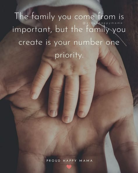 Making Family A Priority Quotes, Building Your Own Family Quotes, Not Part Of The Family Quotes, My Everything Quotes Family, Focusing On My Family Quotes, Friends Being Family Quotes, Build Your Own Family Quotes, Meddling Family Quotes, Loving Your Family Quotes