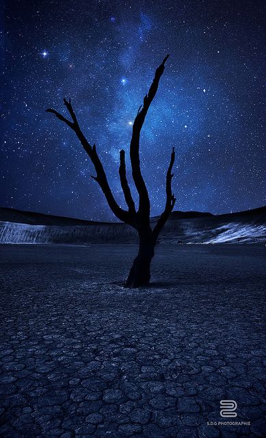 colour my world Blue Desert, The Middle, At Night, Stars, Blue