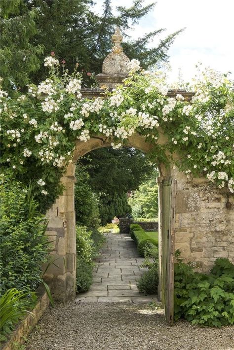 Flowers Growing, Fotografi Vintage, Dream House Exterior, Garden Cottage, Garden Gates, Nature Aesthetic, Pretty Places, Dream Garden, Dream Home Design