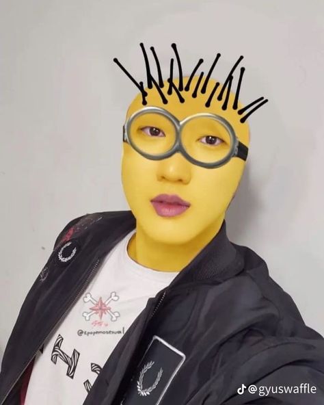 Changbin Minion, Skz Minion, Stray Kids Random, Skz Random, Stray Kids Changbin, Kids Zoo, 17 Kpop, Kpop Meme, Skz In Cute