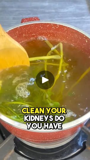 #recipes #fyp #healthy #us #naturalremedy #naturalremedies | Naturalspfood | Naturalspfood · Original audio Clean Your Kidneys, Clean Kidneys, Kidney Recipes, Healthy Kidneys, Kidney Cleanse, Healthy Drink, Healthy Juice Recipes, Juice Recipes, Healthy Juices