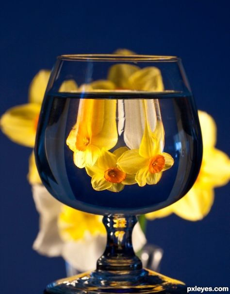 Springtime In a Glass ! Distorted Objects Photography, Photography Ideas Creative Objects, Light Through Glass Photography, Refraction Photography Ideas, Glass Distortion Photography, Reflection Photography Ideas At Home, Water Refraction Photography, Light Refraction Photography, Glass Of Water Photography