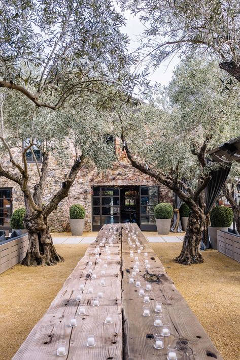 Restoration Hardware Just Opened a Restaurant in Napa That You Have to See to Believe Paver Firepits Backyard Ideas, Restoration Hardware Style, Opening A Restaurant, Wine Tasting Room, Indoor Fountain, Olive Trees, Sanya, Napa Valley, Restoration Hardware