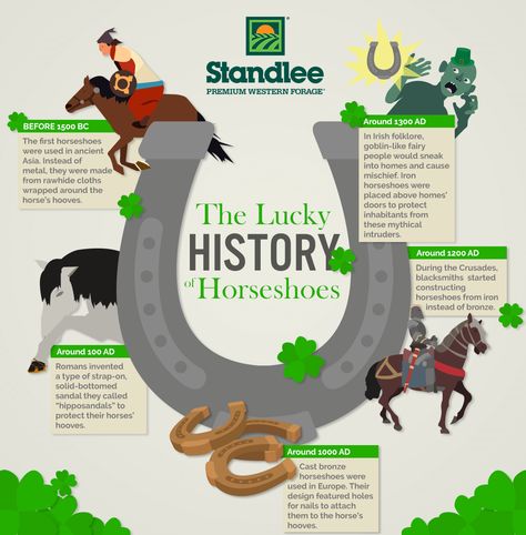 The Lucky History of Horseshoes Horseshoe Meaning, Irish Folklore, Lucky Horseshoe, Goats, Projects To Try, Gaming, Nutrition, Horses, History