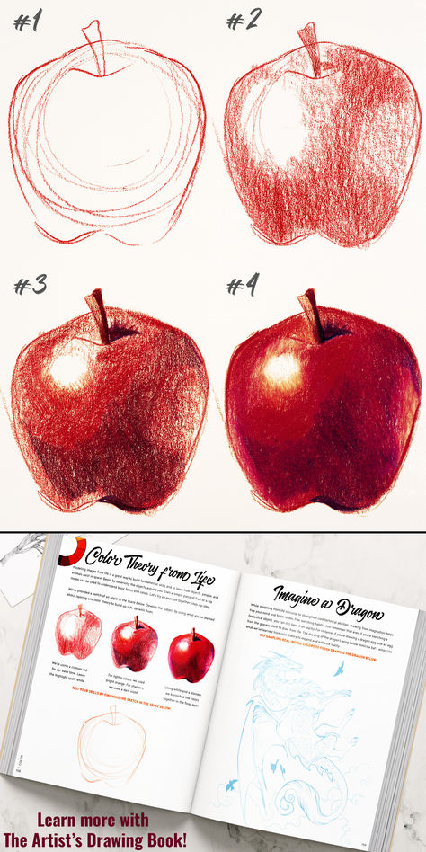 A step-by-step guide on how to draw an apple using color theory to make a beautiful drawing. Apple Drawing Step By Step, Draw An Apple, S Drawing, Simple Subject, Easy Lessons, Art Basics, Your Drawing, Drawing Book, Draw Sketch