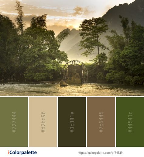 Color palette theme related to bank, Color Palettes from Images, landscape, morning, nature, reflection, river, sky, tree, vegetation, water, . Download color palette as Pdf, Adobe swatch and more. Color Palette Forest Nature, Landscape Design Color Palette, Colour Palette Landscape, Tropical Forest Color Palette, Outdoor Colour Palette, Landscape Colour Palette, Landscaping Color Palette, Green Nature Color Palette, Forest Pallete