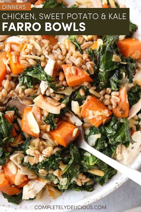 These farro bowls are filled with so many of my favorite things— shredded chicken, roasted sweet potatoes and kale, flaked coconut, and slivered almonds. This meal is hearty, healthy, and completely delicious! | farro bowl recipe | farro bowls healthy | how to make farro | best farro recipes | grain bowls with farro | farro and chicken recipes | farro sweet potatoes recipes | farro kale recipes | healthy farro recipes | healthy farro bowls | farro dinner recipes | farro dinner ideas Chicken Farro Bowl, Farro Recipes Healthy, Farro Bowl Recipe, Sweet Potatoes And Kale, Farro Bowls, Farro Bowl, Kale Sweet Potato, Potatoes And Kale, Chicken Sweet Potatoes