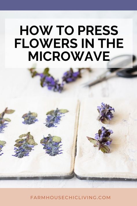 Microwave Pressed Flowers Diy, Pressing Fresh Flowers, Microwave Drying Flowers, How To Save Flower Petals, Pressing Flowers In Microwave, How To Press Fresh Flowers, Diy Microwave Flower Press, Microfleur Flower Press, Microwave Flower Drying