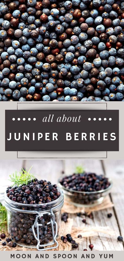 Juniper Berry Beads, Dried Juniper Berry Recipes, Juniper Berry Candle Diy, Elder Berry Recipes, Cooking With Juniper Berries, Uses For Juniper Berries, Juniper Berries Benefits, Juniper Berries Recipes, Juniper Berry Benefits