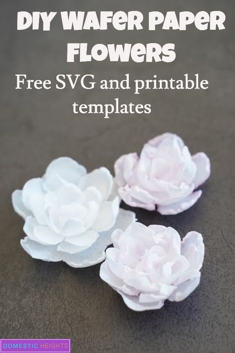 Cricut paper flowers project made with wafer paper, free svg templates and tutorial Wafer Paper Flowers Tutorial, Cricut Paper Flowers, Wafer Paper Tutorial, Wafer Flowers, Paper Flowers Tutorial, Rolled Paper Flowers, Wafer Paper Flowers, Svg Templates, Wafer Paper Cake