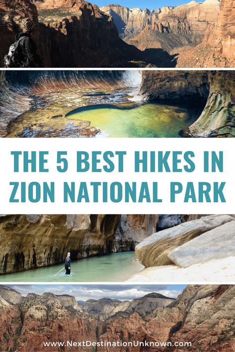 Wanna visit Zion National Park in Utah? The best way to explore Zion is by hiking! The Zion National Park hikes will blow your mind! If you’re a hiking enthusiast, these are the 5 best hikes in Zion National Park, including Angels Landing, the Narrows, and the Subway hikes. Check them all out here and start planning your trip to Zion National Park. #zionnationalpark #hikesinzionnationalpark #zionnationalparkhikes #angelslandingzion #narrowszionnationalpark #thesubwayzionnationalpark #zion #utah Hikes In Zion National Park, Zion Hikes, Zion National Park Hikes, Hiking The Narrows, American National Parks, Zion Canyon, Zion National Park Utah, Angels Landing, Hiking National Parks