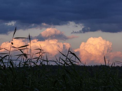 Cloud Scenery, Evening Landscape, Pretty Sky, Cinematic Photography, Pretty Photos, Nature Aesthetic, Pretty Places, Sky Aesthetic, Landscape Photos