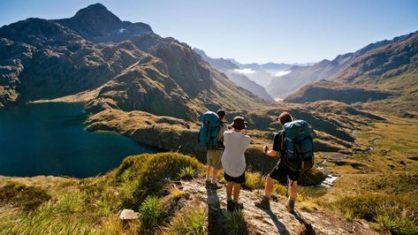 Take a hike. Te Araroa, Hiking New Zealand, Milford Track, Abel Tasman National Park, Cathedral Cove, New Zealand Itinerary, Bay Of Islands, Queenstown New Zealand, New Zealand South Island