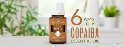 Skin Tags Essential Oils, Panaway Essential Oil, Copaiba Oil, Young Living Recipes, Copaiba Essential Oil, Acai Bowls, Yl Oils, Yl Essential Oils, Sandalwood Oil