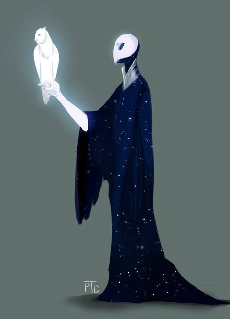 White mask, white owl and space cloak. Heroic Fantasy, 다크 판타지, Arte Fantasy, 판타지 아트, Creature Concept, 영감을 주는 캐릭터, The Night Sky, Dnd Characters, Creature Design