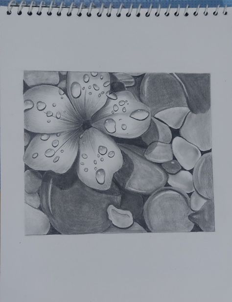 Pencil Shading Art, Shading Drawings, Stones Drawing, Shading Art, Wolf Drawings, Cute Wolf Drawings, Sketch Images, Pencil Sketch Images, Still Life Flowers