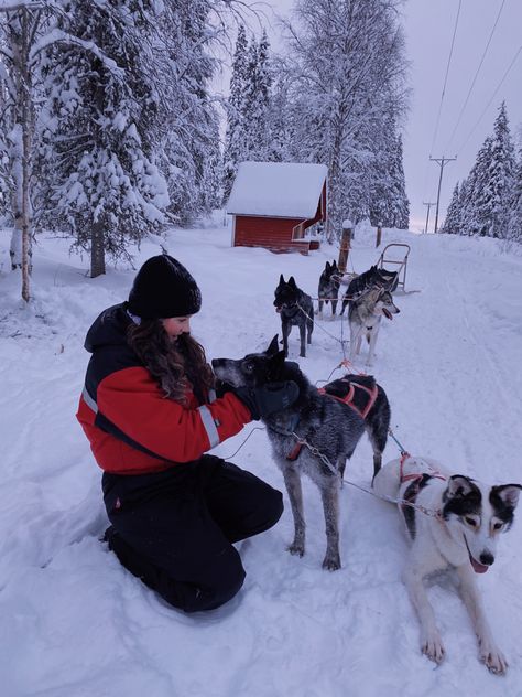 Finland Picture Ideas, Lapland Photo Ideas, Lapland Finland Christmas, Lap Land, Lapland Aesthetic, Lapland Christmas, Finland Trip, Finland Winter, Finland Lapland