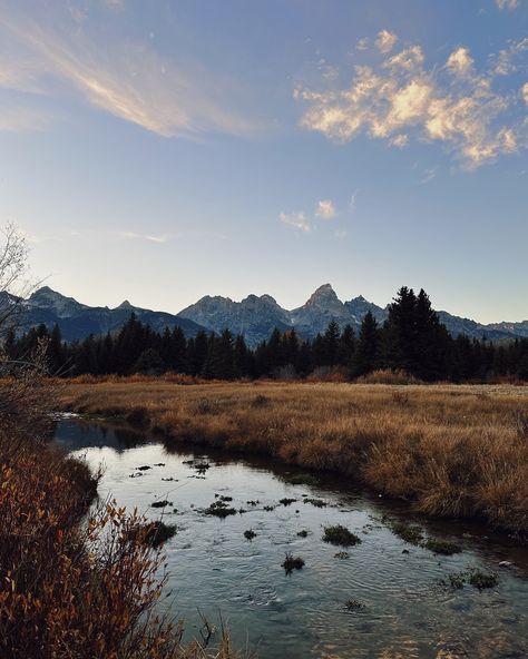 postcards from wyoming 💌 Yellowstone National Park Aesthetic, Wyoming Farm, Wyoming Aesthetic, Granola Core, Montana Aesthetic, Wyoming Nature, Wyoming Ranch, Country Core, Wyoming Mountains