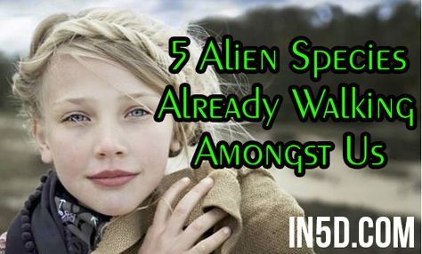 While it is often believed that most aliens are an unfriendly bunch, there are a few species that have been on Earth for centuries who serve to disprove this claim. Some of the more friendly alien species are listed below. Types Of Aliens, Alien Proof, Alien Photos, Raven And Wolf, Male Witch, Alien Spacecraft, Ancient Sumerian, Alien Species, Grey Alien