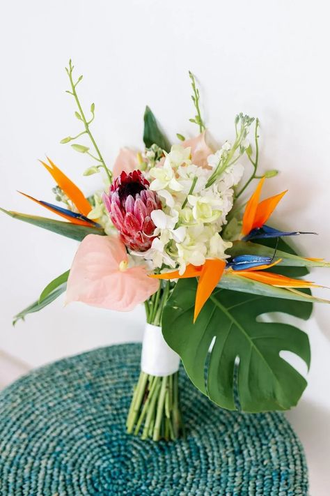 This bridal bouquet has all the Caribbean vibes. It was a bright and colorful tropical bouquet with birds of paradise, anthurium's and protea. Save this pin for when you are destination wedding planning and planning your Bahamian wedding. Diy Tropical Bouquet, Simple Tropical Bridal Bouquet, Tropical Wedding Hair Flowers, Minimalist Tropical Bouquet, Tropical Bridal Bouquet Bright Colors, Small Tropical Bridal Bouquet, Hawaiian Bouquet Wedding, Birds Of Paradise Bouquet, White Tropical Bouquet