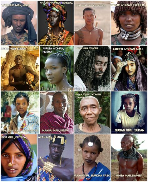 Just some of the many different faces of Africans History Of African Hair, African Hair History, African Features, Australian Aboriginals, Egyptian People, African History Truths, African American History Facts, African Origins, African Royalty