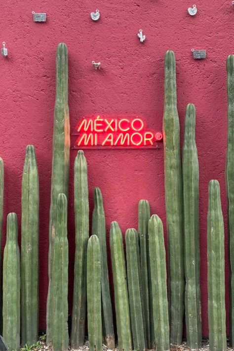 Discover the best of Mexico City with our ultimate 4-day CDMX travel itinerary! This Mexico City guide includes everything from places to visit, the best Mexico City neighbourhoods like Coyoacán, Polanco, Roma Norte, and San Ángel, plus Zócalo and Teotihuacan. We’ve got Mexico City tips on places to stay, food to try, and top things to do. Plan your perfect Mexico travel adventure! Mexico Vision Board, Travel Aesthetic Mexico, Mexico City Aesthetic, Mexico Nails, Mexico City Food, Travel 2025, 2025 Travel, Mexico Aesthetic, Travel To Mexico