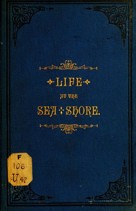 lucid dreamer, jeanette winterson stan on Tumblr Books And Sea, Anne With An E House, Old Books Cover, Room Inspo Blue, Francine Rivers Books, Manta Ray Tattoo, Rebecca Daphne Du Maurier, Jeanette Winterson, Daphne Du Maurier