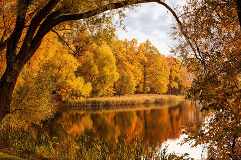 Autumn Lockscreen, Rain And Storm, Halloween Autumn Aesthetic, Nature Houses, Autumn Wallpapers, Halloween Aesthetics, This Side Of Paradise, Cosy Autumn, Bright Blue Sky