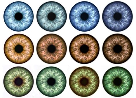 Du bist sexy und süß, wenn du blaue Augen hast. Erfahre hier, was deine Augenfarbe über deinen Charakter verrät! #eyes #beauty #iris #personality #colors Eye Color Chart, Realistic Eye Drawing, Realistic Eye, Doll Eyes, Irises, Pretty Eyes, Eye Art, Eye Drawing, Drawing Tips