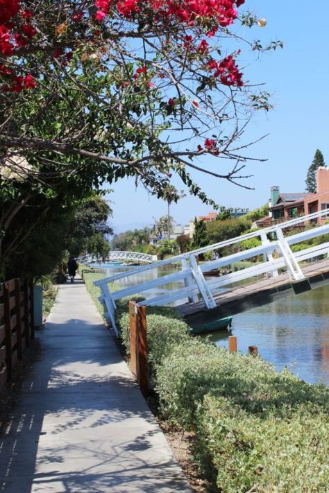 Venice Canals California, Venice Beach Canals, Venice Boardwalk, La Summer, California Restaurants, Cloud Craft, Venice Beach California, Muscle Beach, Venice California