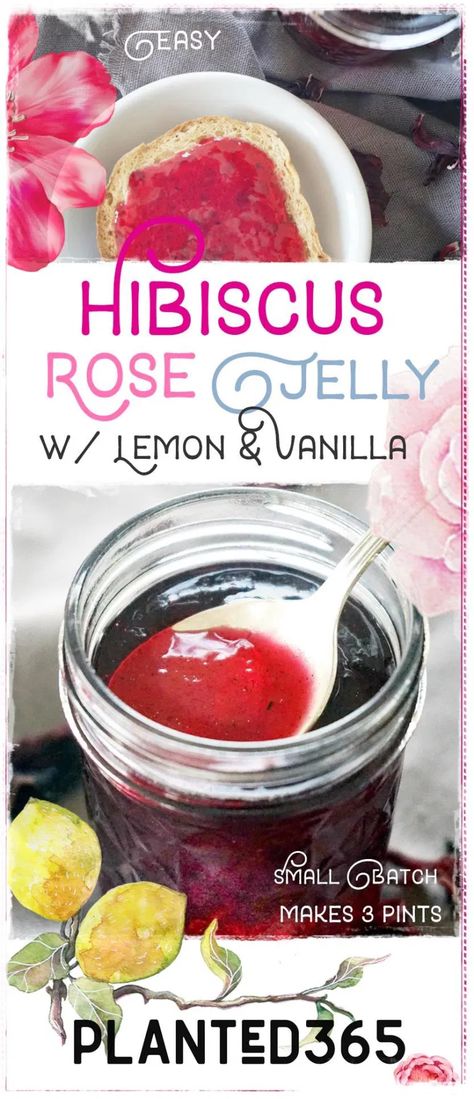 Vegan Puddings, Hibiscus Recipe, Rose Jelly, Rhubarb Jam Recipes, Vegan Dips, Strawberry Rhubarb Jam, Canning Ideas, Food Swaps, Rhubarb Jam