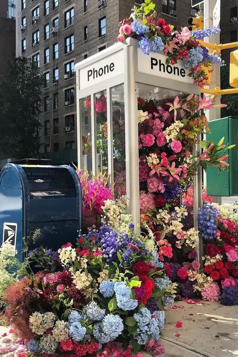 An unconventional advertising approach: guerrilla gardening moss graffiti. Check this Flowers Bloom, installed in unexpected places in New York! Guerilla Gardening, Moss Graffiti, Succulent Photography, Guerrilla Gardening, Dream Wedding Decorations, Flower Cart, Flower Installation, Stall Designs, Artistic Installation