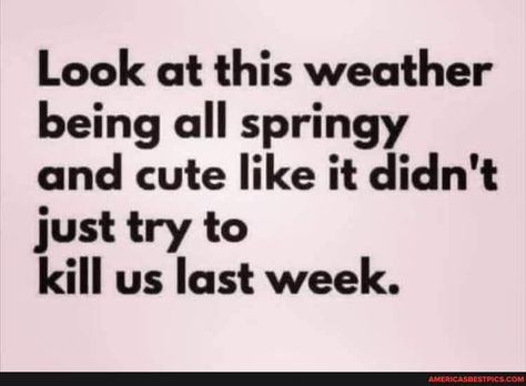 Look at this weather being all springy and cute like it didn't just try to kill us last week. - America’s best pics and videos Winter Jokes, Winter Humor, Weather Memes, Irreverent Humor, Weather Quotes, Funny Thoughts, Best Pics, Holiday Humor, Sarcastic Humor