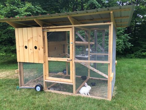 Eileen's Mobile Rabbit Hutch Built from Walk-In Coop Plans | The Garden Coop Rabbit Hutch Outdoor, Rabbit Hutch And Run, Outdoor Rabbit, Outdoor Rabbit Hutch, Bunny Hutch, Coop Design, Rabbit Hutch, Coop Plans, Hobby Farm