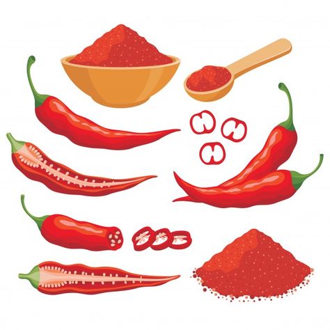 Veggie Art, Cocktail Illustration, Mexican Candy, Spicy Tomato Sauce, Vector Food, Red Chili Peppers, Learning Graphic Design, How To Dry Rosemary, Spicy Chili