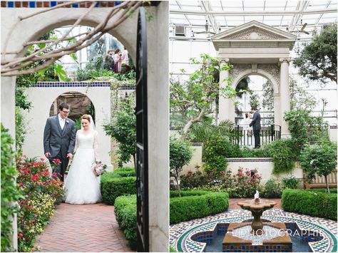 Missouri Botanical Garden Wedding, St Louis Botanical Garden, Light Wedding Photography, Botanical Garden Wedding, Garden Wedding Reception, Garden Weddings Ceremony, Missouri Botanical Garden, Botanical Gardens Wedding, Light Wedding