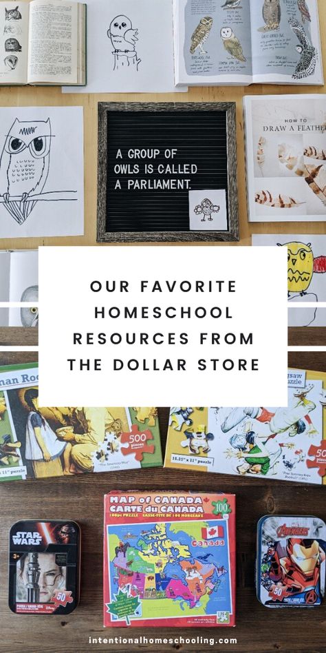 Dollar Store Homeschool, Dollar Tree Homeschool Ideas, Dollar Tree Homeschool, Diy Homeschool, Red School House, Bible Homeschool, Relaxed Homeschooling, Homework Organization, Clean Book