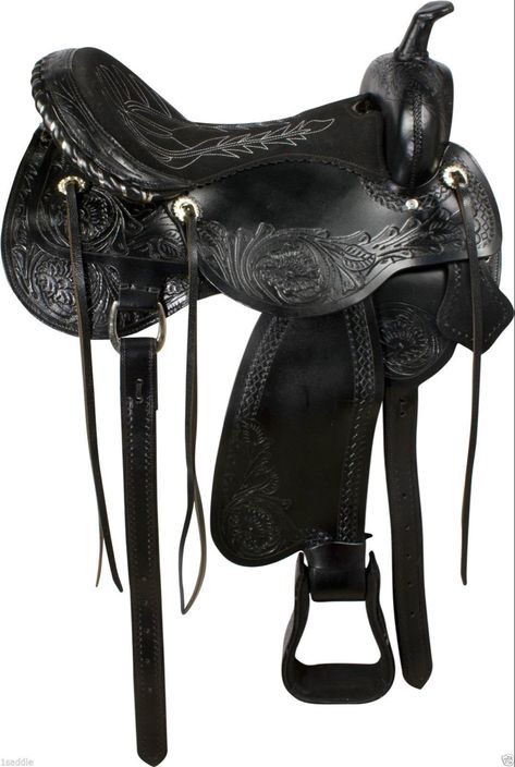 Endurance Horse, Мотоциклы Harley Davidson, Western Horse Saddles, Equestrian Helmet, Western Horse Tack, Horse Equipment, Looks Country, Horse Gear, Western Riding