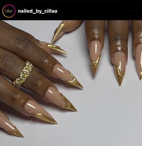 Pointed Nail Ideas, Fall Nail Designs Stiletto Shape, Brown Stiletto Nails Design, Stilleto Nails Long Designs, Gold Nails Stiletto, Classy Stiletto Nails, Gold French Tip Stiletto Nails, Stiletto Nails Gold, Gold Detail Nails