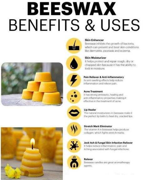 Did you know honeybees consume 6-8 pounds of honey or nectar in order to produce 1 pound of beeswax? Rare and expensive as bees must fly aproxamately 150,000 miles just to secrete one pound of wax. For every 100 pounds of honey harvested, beekeepers obtain about 1-2 pounds of beeswax. Beeswax is an incredible byproduct from the hive with a multitude of uses and benefits. Beeswax Uses, Bee Wax Candles, Cracked Lips, One Pound, Natural Moisturizer, The Hive, Beeswax Candles, 1 Pound, Chemical Free