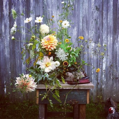 outdoor arrangement Saipua Flowers, Rustic Flower Arrangements, Creative Flower Arrangements, Cut Flower Garden, Rustic Flowers, Vase Arrangements, Spring Photography, Botanical Wedding, Flower Farm