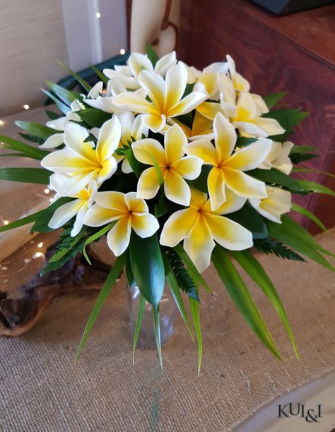 Plumeria Tropical Hawaii Wedding Bouquet Kui & I Florist, LLC Hilo, Hawaii kuiandiflorist.com  #kuiandi #florist #kuiandiflorist #hilo #hawaii #bigisland #bigislandwedding #destinationwedding #wedding #tropicalwedding #hawaiianwedding #weddingflowers #bridalbouquet #flower #flowers #hawaiianflorist Hawaiian Wedding Centerpieces, Plumeria Centerpiece, Hibiscus Bouquet Wedding, Hibiscus Flower Arrangement, Hawaiian Bouquet Wedding, Hawaiian Flower Bouquet, Hawaii Flower Arrangements, Plumeria Centerpiece Weddings, Hibiscus Wedding Bouquet