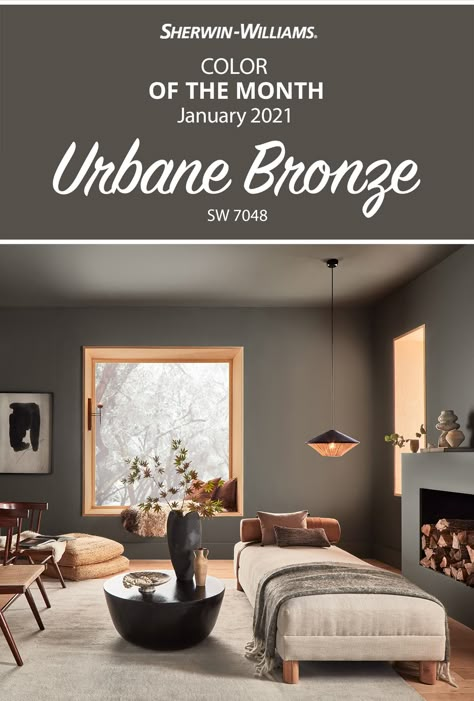 Urbane Bronze, Color Of The Month, Paint Color Inspiration, Sherwin Williams Paint Colors, Neutral Paint, Room Paint Colors, Interior Paint Colors, Paint Colors For Living Room, Living Room Colors