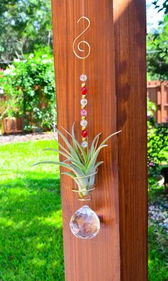 Image result for air plant coils with crystals Air Plants Diy, Air Plants Decor, Air Plants Care, Plant Hanging, Plant Crafts, Air Plant Display, Air Plant Terrarium, Glass Balls, Air Plant Holder