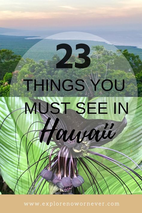 Hawaii Must Do, Kauai Things To Do, Hawaii Tips, Hawaii Bucket List, Things To Do In Kauai, Things To Do In Oahu, Things To Do In Hawaii, Things To Do In Maui, Black Sand Beaches