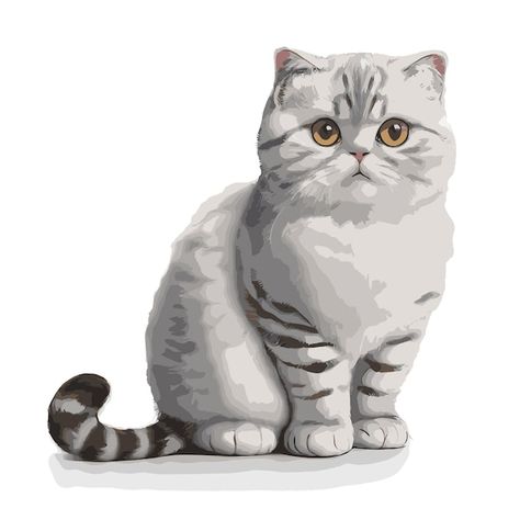 Vector drawing of scottish fold cat with... | Premium Vector #Freepik #vector Scottish Fold Cat, Fold Cat, Cat Sketch, Cat Vector, Grey Art, Scottish Fold, Meow Meow, Vector Drawing, Fun Art